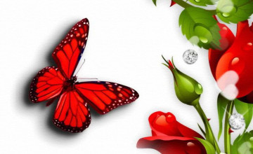 Rose Flowers and Butterflies Wallpapers
