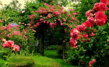 Rose Garden Desktops