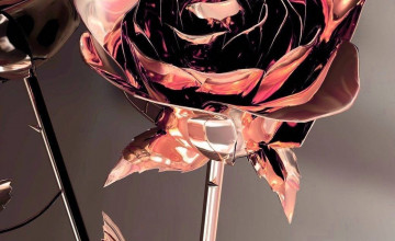 Rose Gold Aesthetic Wallpapers