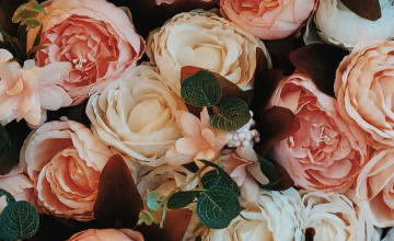Rose Iphone Wallpapers