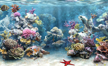 Saltwater Fish Wallpapers and Screensavers