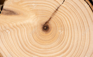 Sandalwood Backgrounds