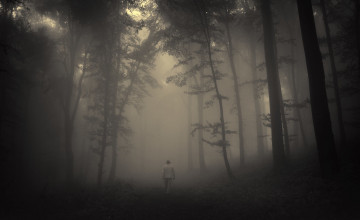 Scary Fog Wallpapers
