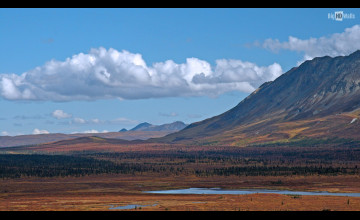 Scenic Alaska Pictures