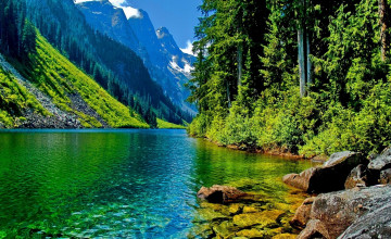 Scenic for Computer