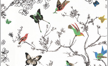 Schumacher Birds and Butterflies Wallpaper