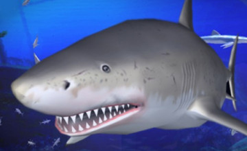 Shark Screensavers and