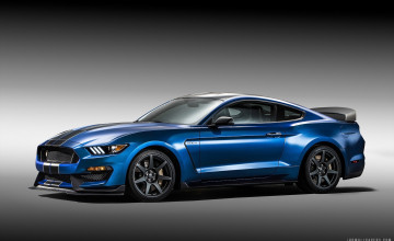 Shelby GT350 Wallpapers