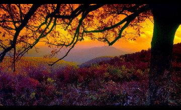 Shenandoah National Park 