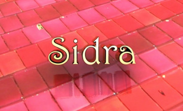 Sidra Wallpaper