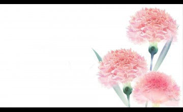 Simple Flower
