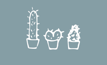 Simple Plant Aesthetic