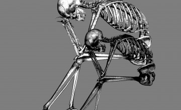 Skeleton Aesthetic Wallpapers