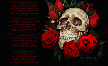 Skull Desktop Wallpapers