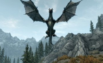 Skyrim Dragon