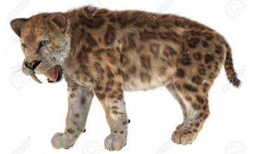 Smilodon Backgrounds