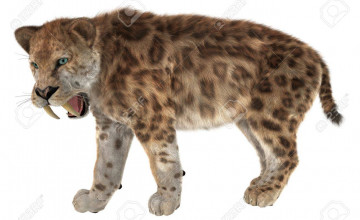 Smilodon