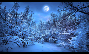 Snow 4k Wallpapers