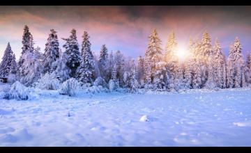 Snow Aesthetic Wallpapers