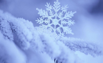 Snow Flake Wallpapers