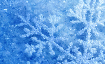 Snow iPhone Wallpapers