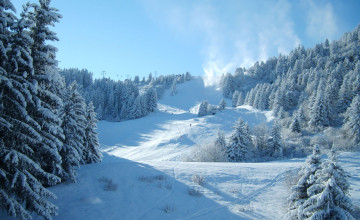 Snow Skiing Scenes