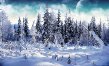 Snowing Backgrounds Wallpapers