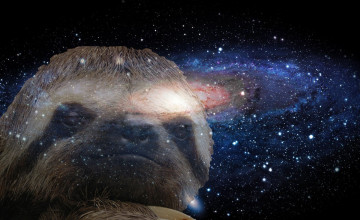 Space Sloth Wallpapers