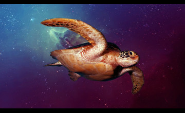 Space Turtle Wallpapers