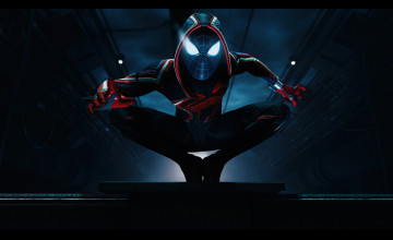 Spider Man 4k Ultra HD Wallpapers