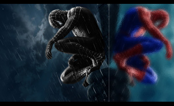 Spiderman 3 Wallpapers