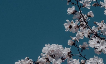 Spring Aesthetic Blue Wallpapers