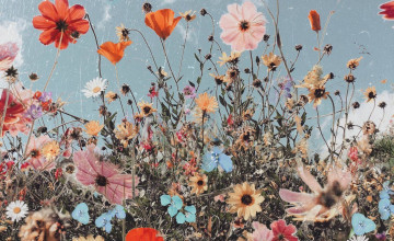 Spring Aesthetic Wallpapers