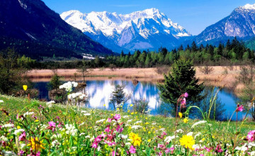 Spring in the Mountains Wallpaper