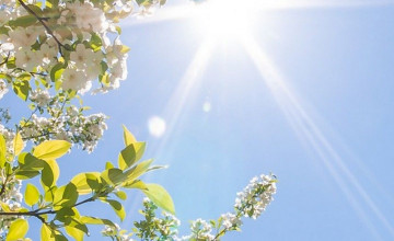 Springwallpaper