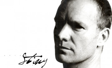 Sting Musician