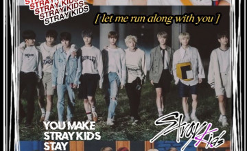 Stray Kids Collage