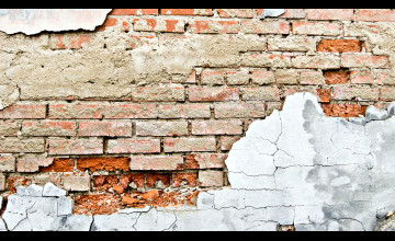Stucco Wallpaper with Bricks