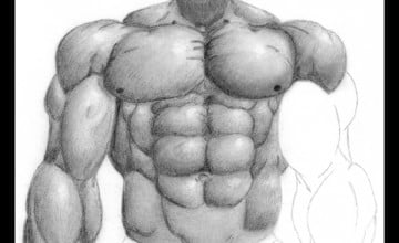 Submit Wallpaper Muscle Groups