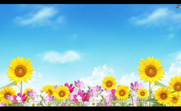 Summer Flower Backgrounds