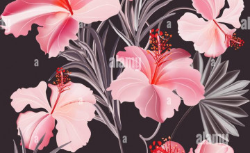 Summer Flowers Abstract Wallpapers