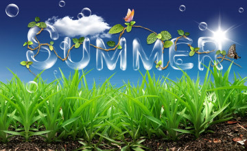Summer Time Wallpapers and Desktops
