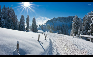 Sunny Winter Wallpapers