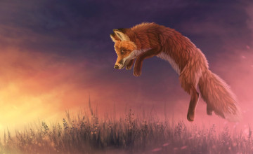 Sunset Foxes