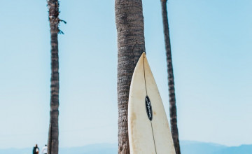 Surfboards Wallpapers
