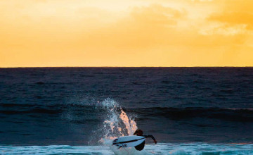 Surfing Iphone