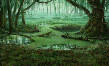 Swamp Background