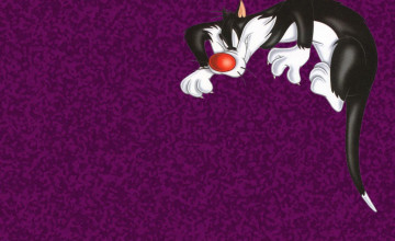 Sylvester Cat Wallpaper