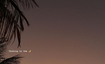 Talking to the Moon Wallpapers
