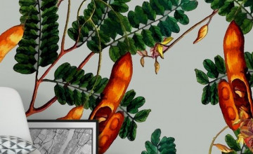 Tamarindo Wallpapers
